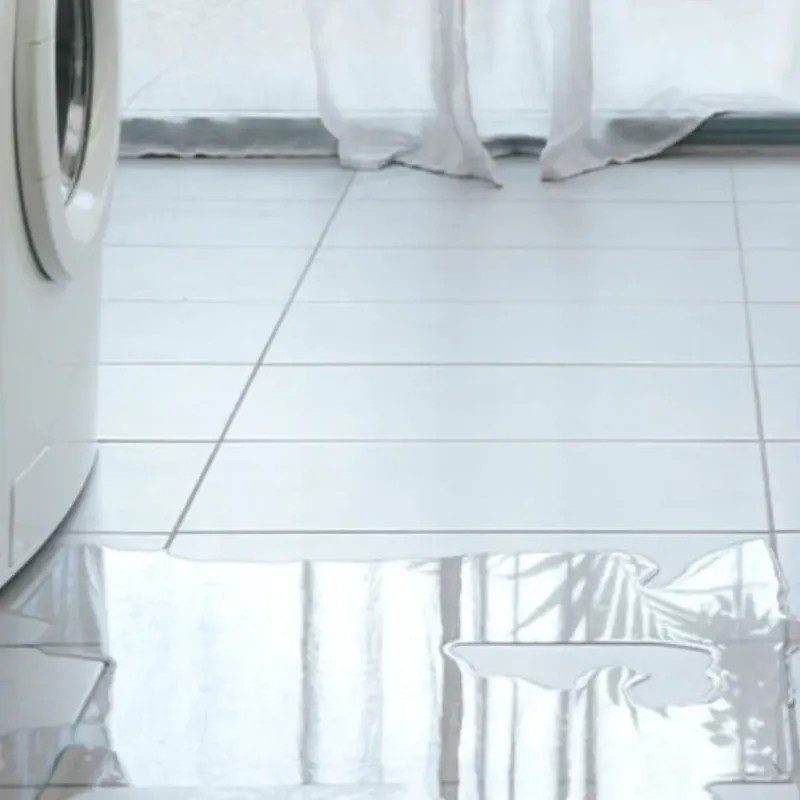 Appliance Leak Cleanup in Iola, KS
