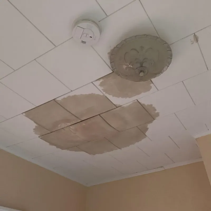 Ceiling Water Damage Repair in Iola, KS