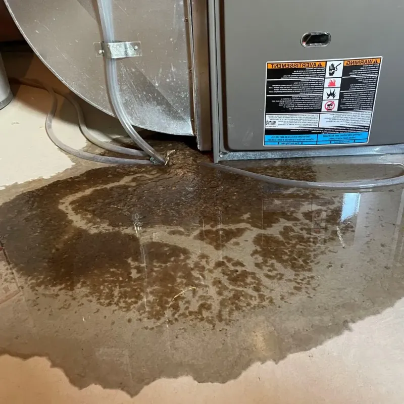 Pipe Burst and Leak Restoration in Iola, KS