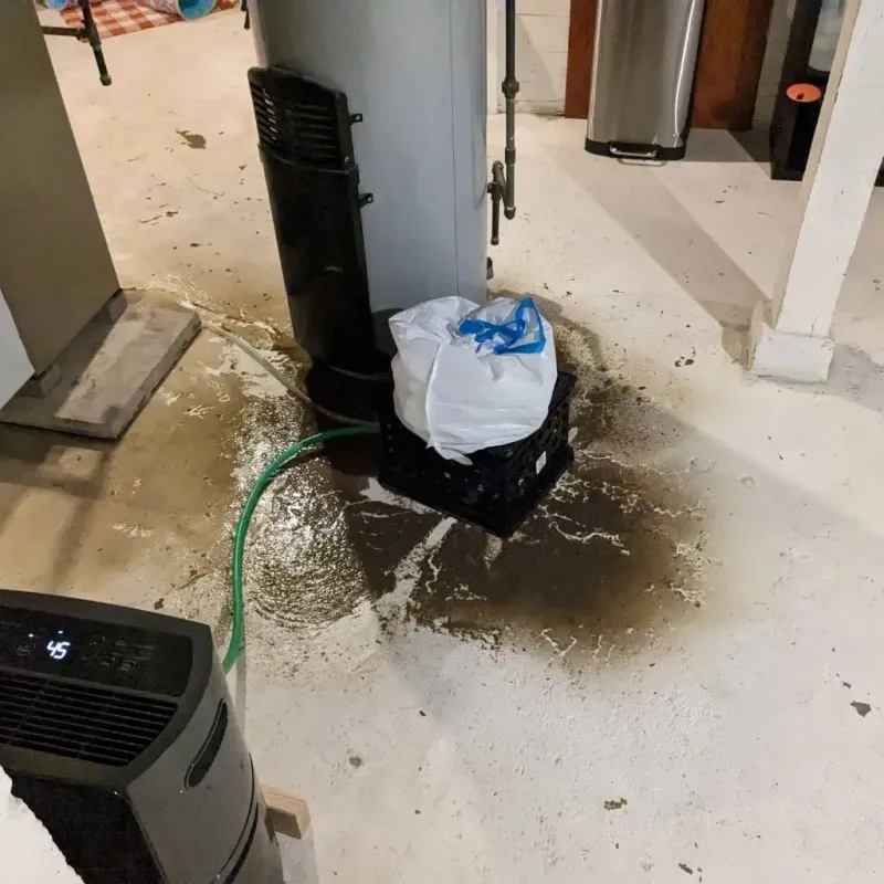 Sewage Backup Cleanup Service in Iola, KS